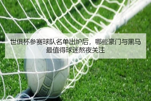 世俱杯参赛球队名单出炉后，哪些豪门与黑马最值得球迷熬夜关注 - kaiyun